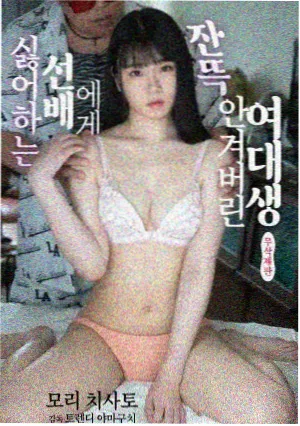 我的解放日志